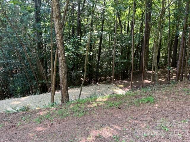 Property image 5 at 0000 Long Bay Drive, Granite Falls, NC 28630