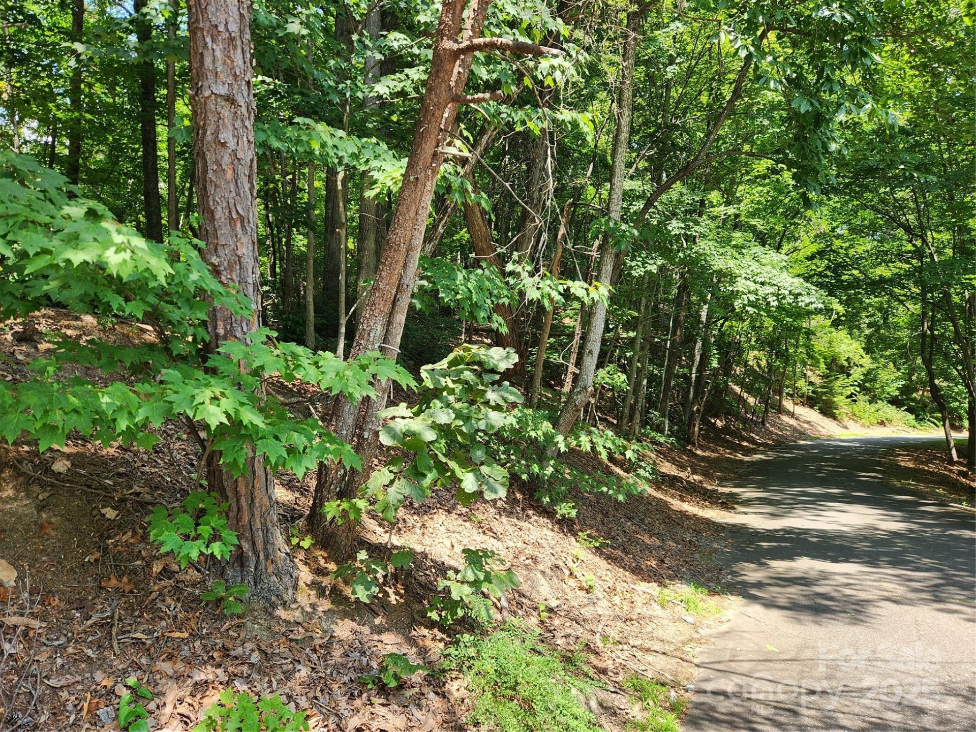 Property image 2 at Lot 124 125 101 Banjo Court, Lake Lure, NC 28746