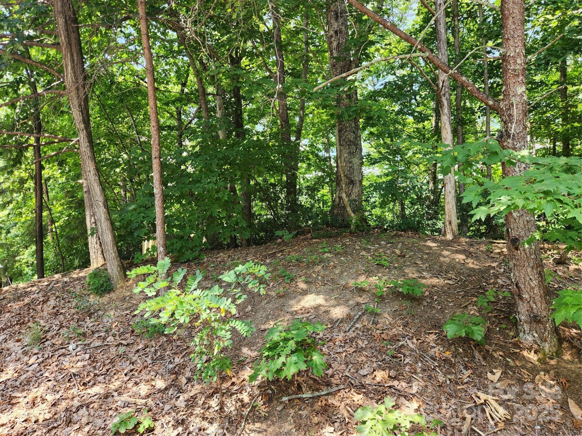 Property image 3 at Lot 124 125 101 Banjo Court, Lake Lure, NC 28746