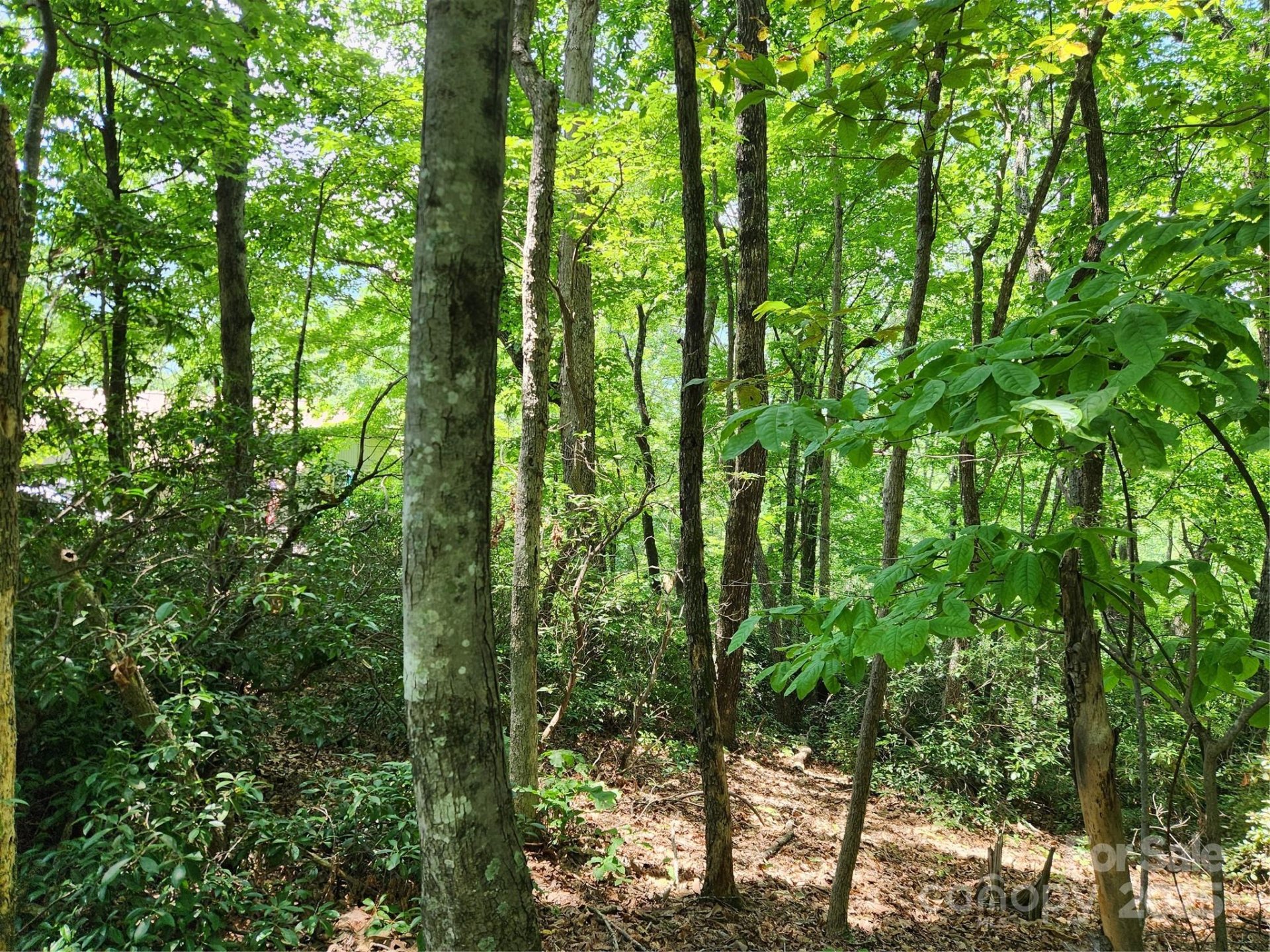 Property image 4 at Lot 124 125 101 Banjo Court, Lake Lure, NC 28746