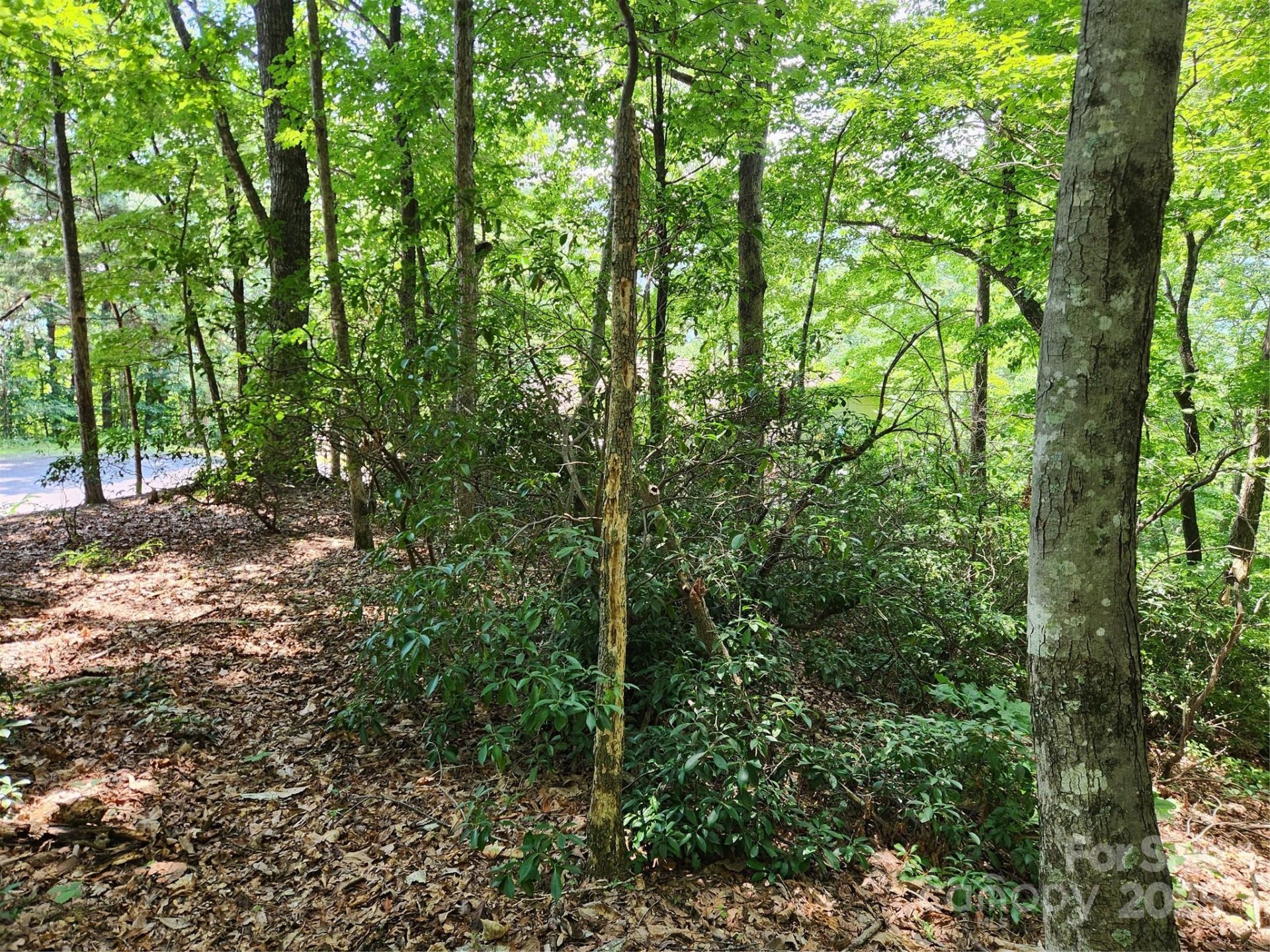 Property image 5 at Lot 124 125 101 Banjo Court, Lake Lure, NC 28746