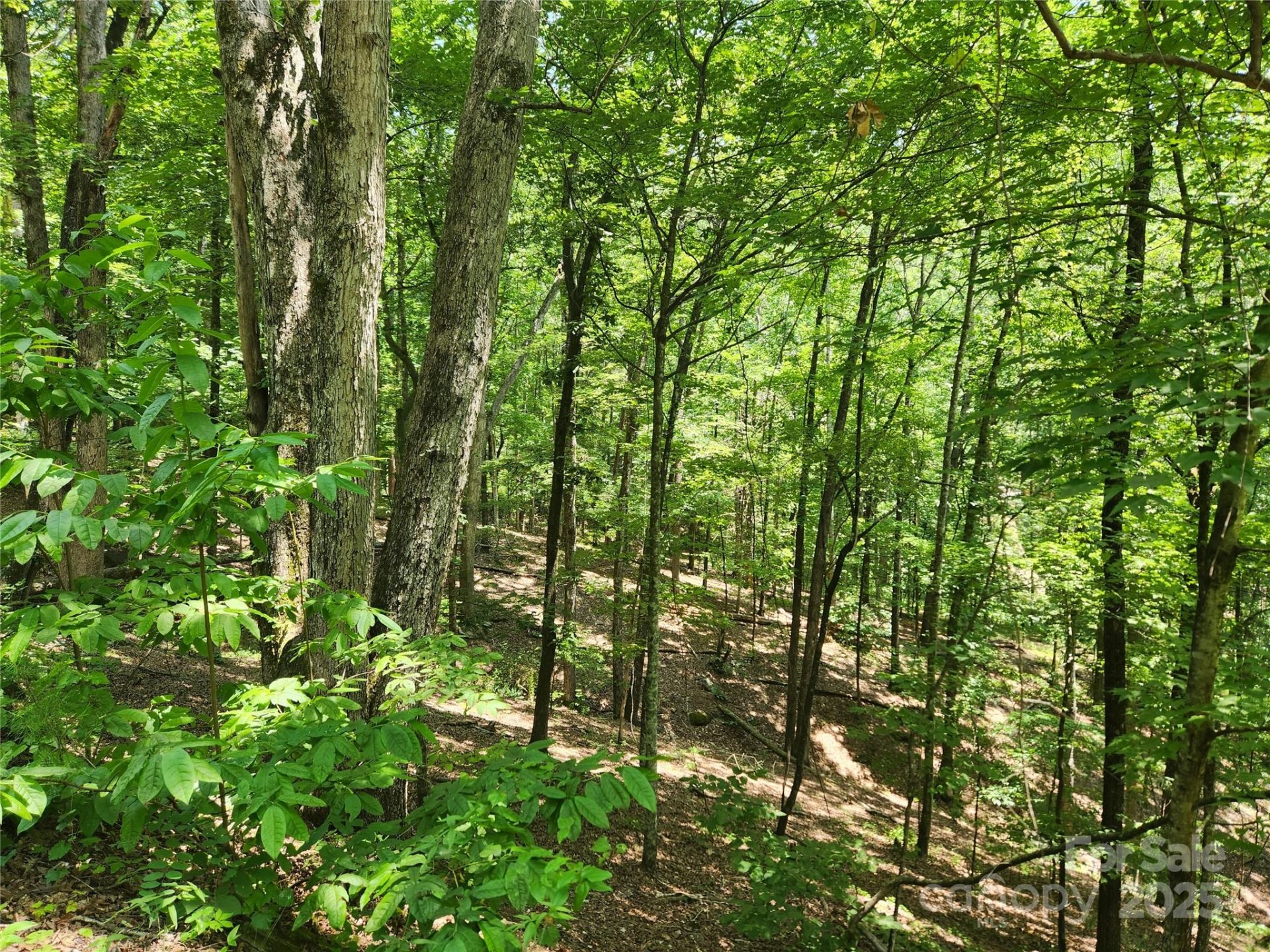 Property image 2 at Lot 81 82 88 Walnut Lane, Lake Lure, NC 28746