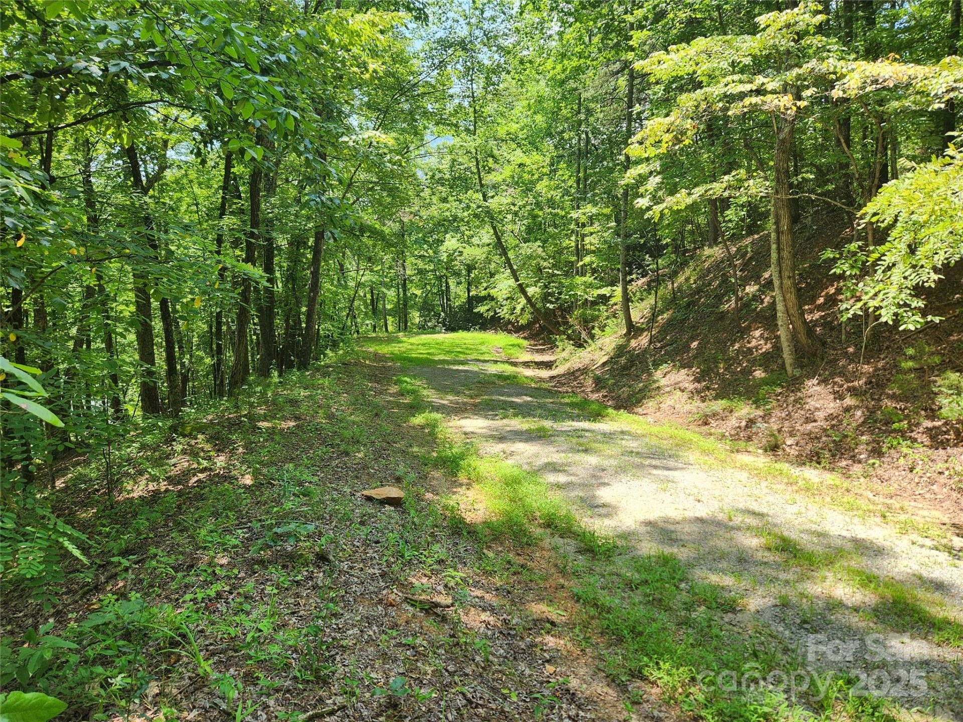 Property image 3 at Lot 81 82 88 Walnut Lane, Lake Lure, NC 28746