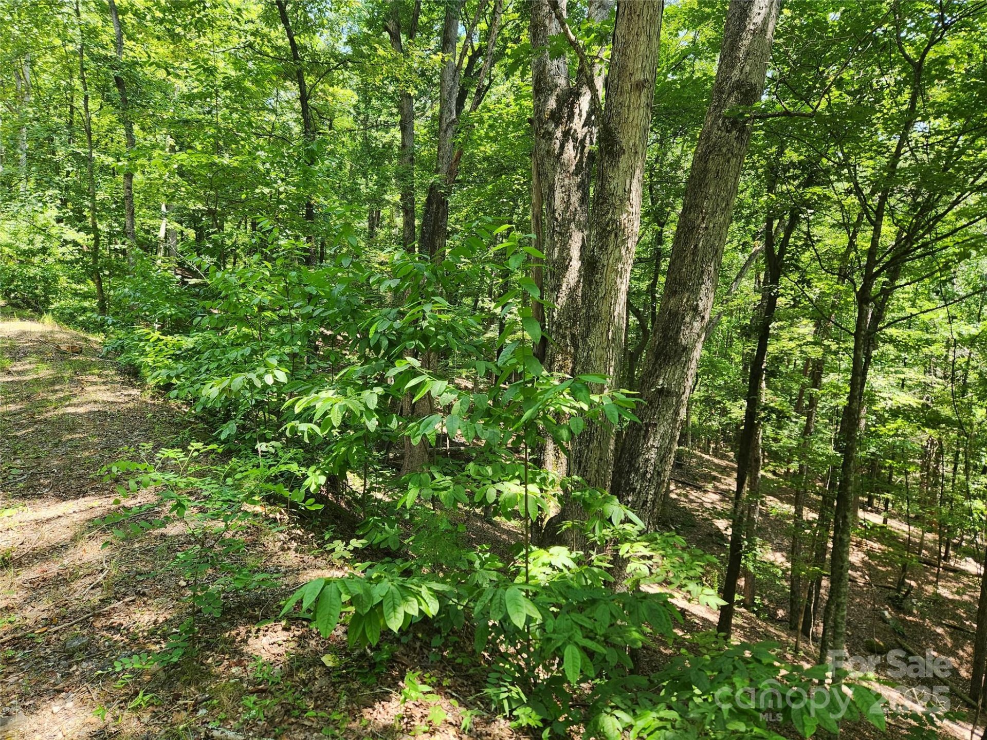 Property image 4 at Lot 81 82 88 Walnut Lane, Lake Lure, NC 28746