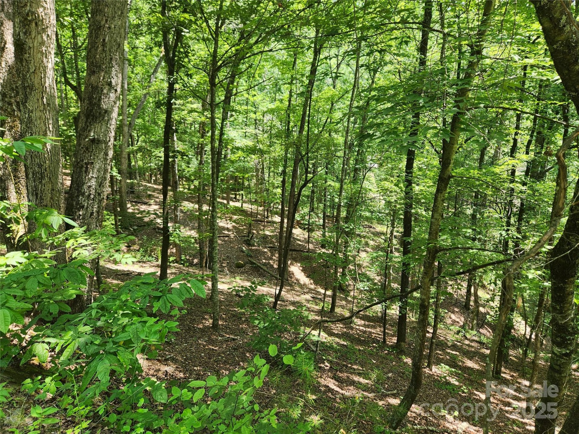 Property image 5 at Lot 81 82 88 Walnut Lane, Lake Lure, NC 28746