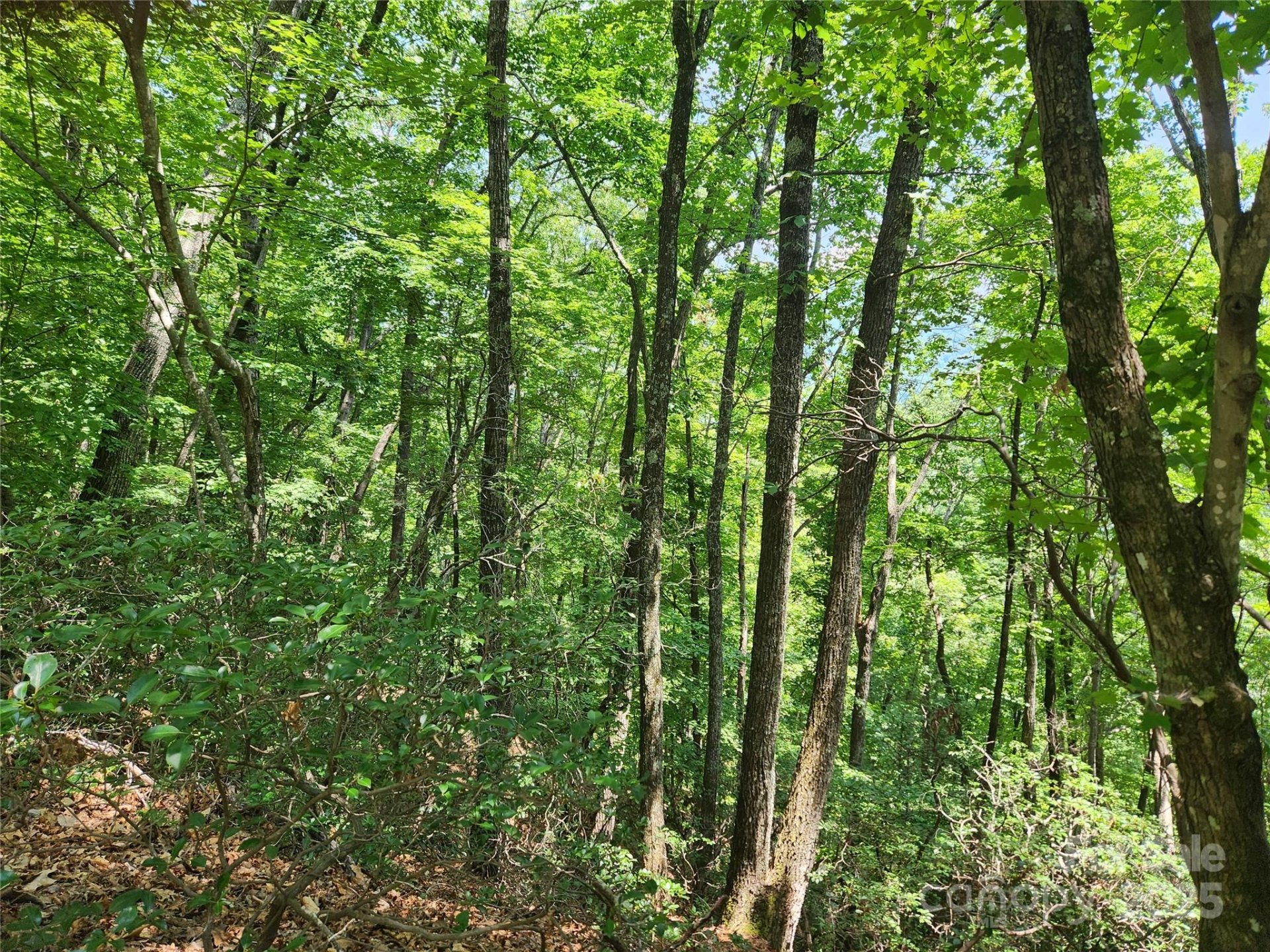 Property image 2 at Lot 117 118 132 Summit Court, Lake Lure, NC 28746