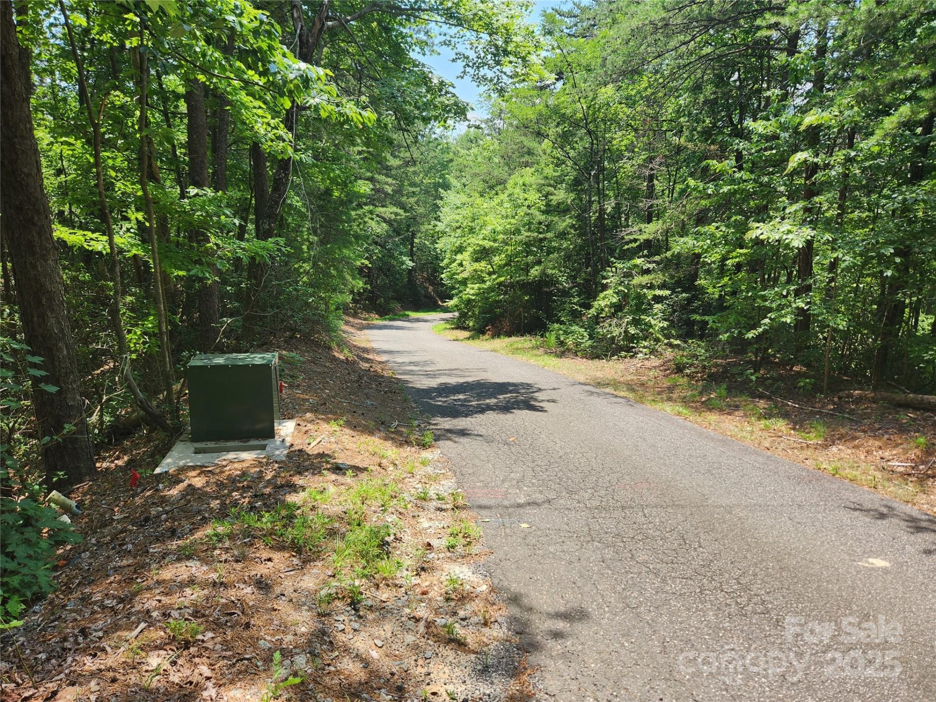 Property image 3 at Lot 117 118 132 Summit Court, Lake Lure, NC 28746