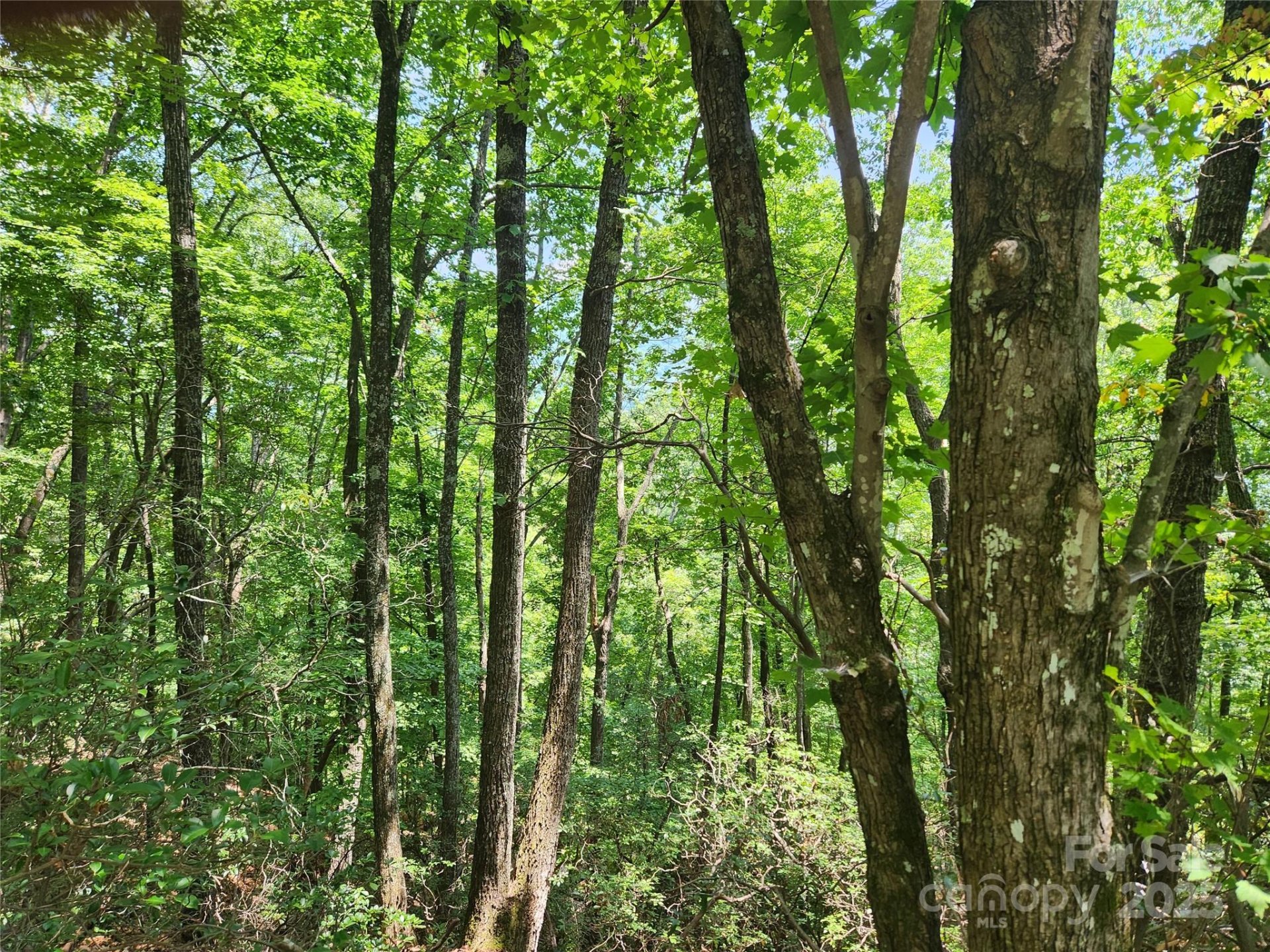 Property image 4 at Lot 117 118 132 Summit Court, Lake Lure, NC 28746