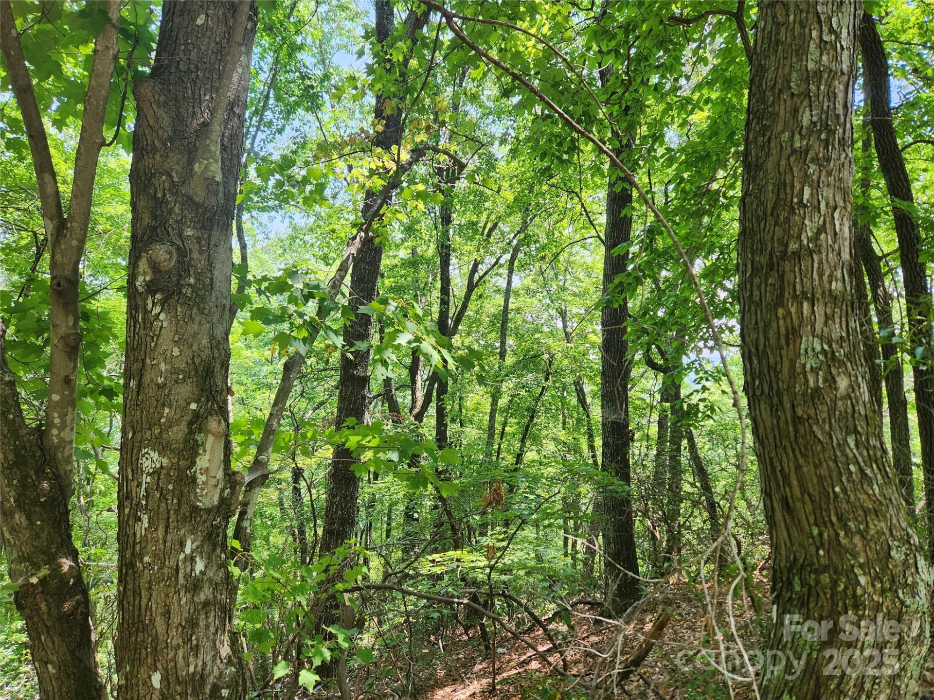 Property image 5 at Lot 117 118 132 Summit Court, Lake Lure, NC 28746