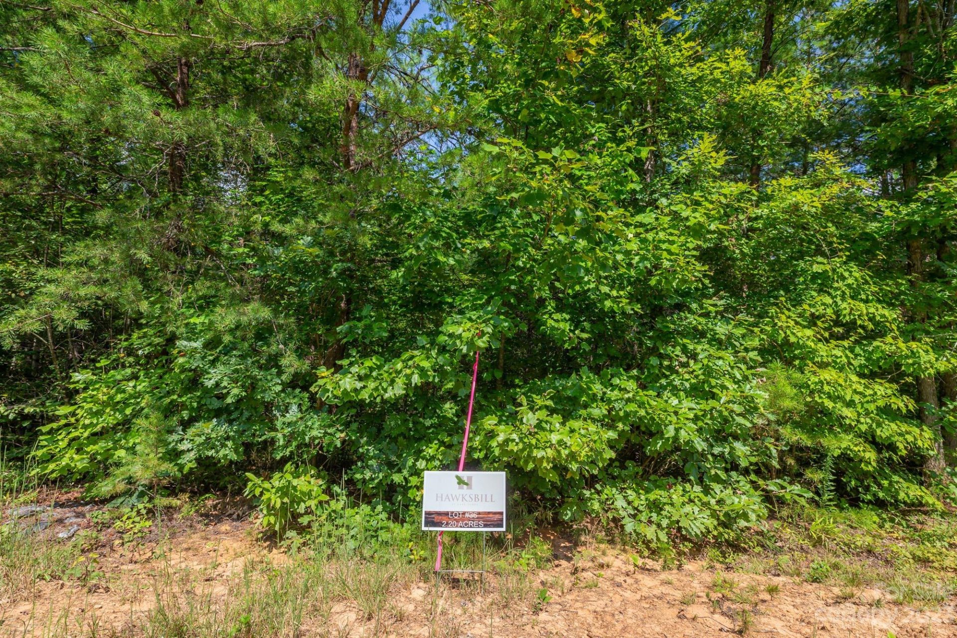 Property image 5 at 1113 Greene Court, Morganton, NC 28655