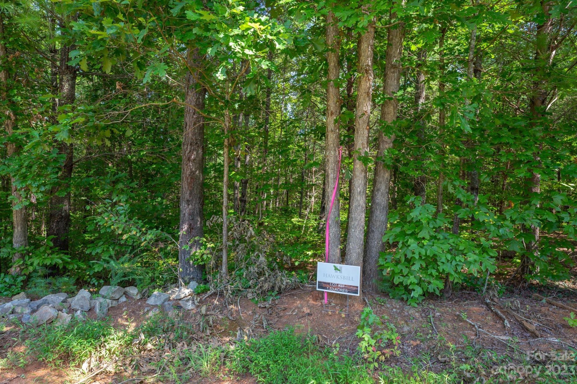 Property image 5 at 1119 Greene Court, Morganton, NC 28655