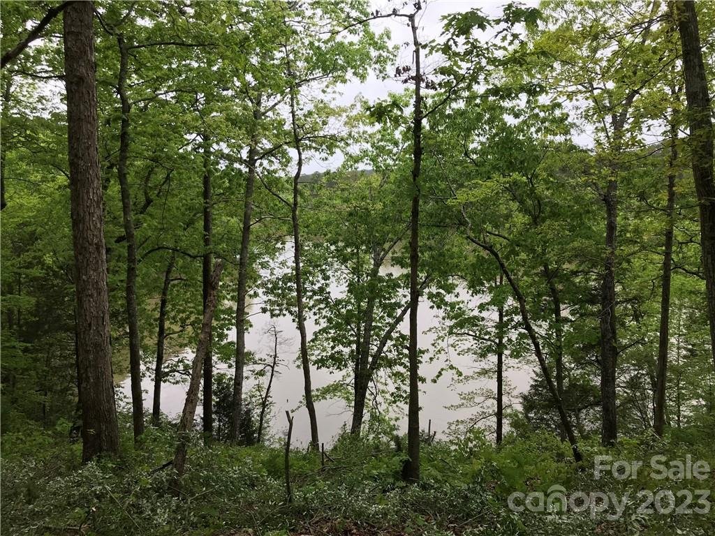 04 Serenity Shores Goings Road