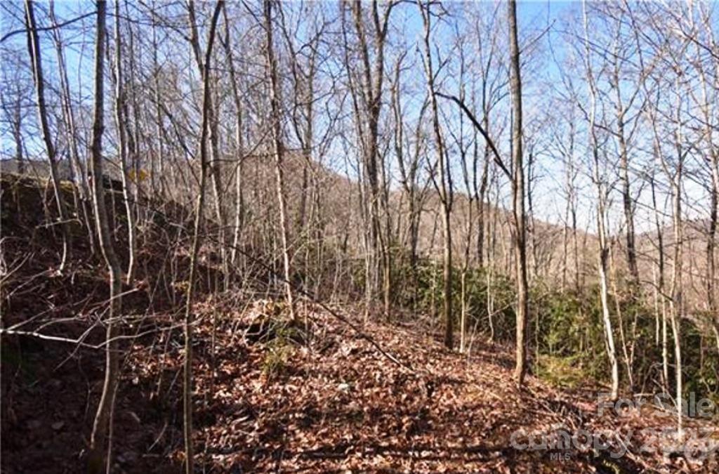 Property image 1 at 800 Henry Dingus Way, Maggie Valley, NC 28751