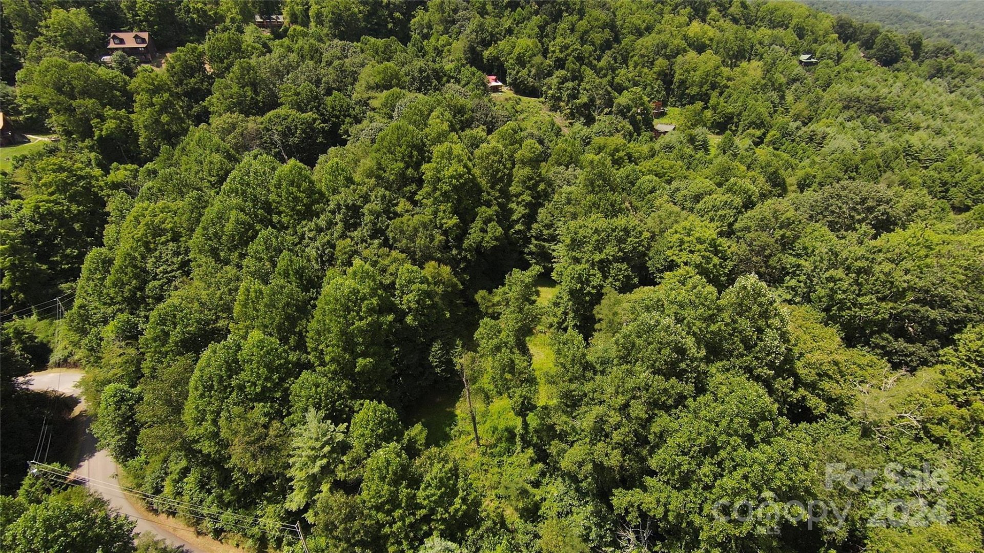 Property image 3 at 9 Point Of View Drive, Waynesville, NC 28785