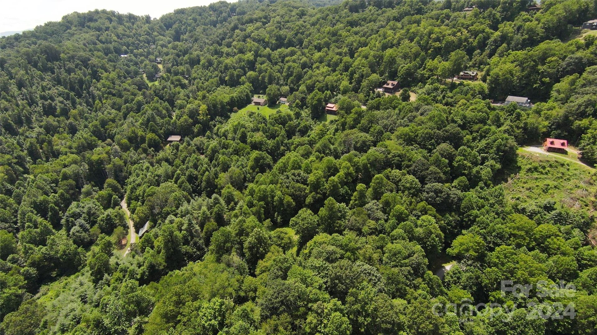 Property image 4 at 9 Point Of View Drive, Waynesville, NC 28785
