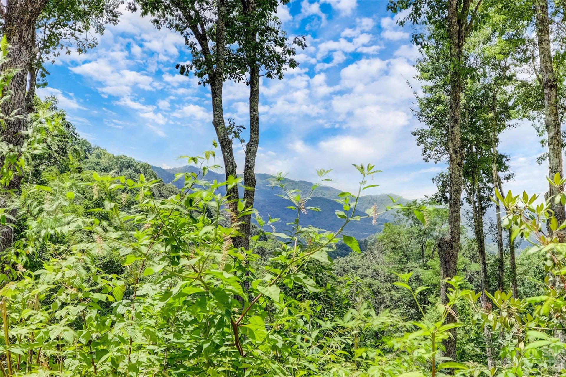 Property at 0 Centurian Lane, Maggie Valley, NC 28751