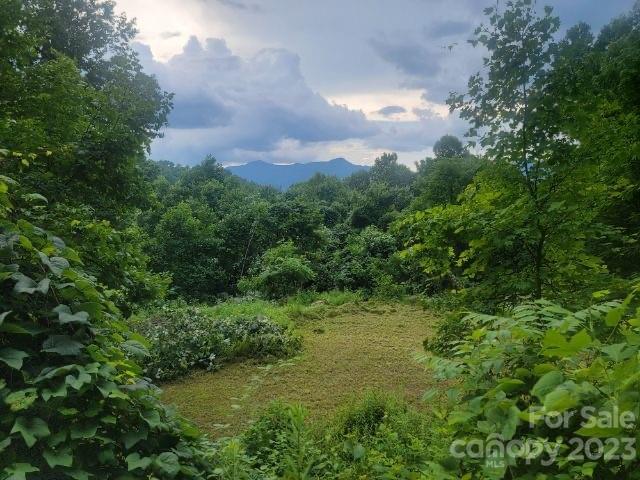 Property image 3 at 7 Cliff Lane, Waynesville, NC 28786
