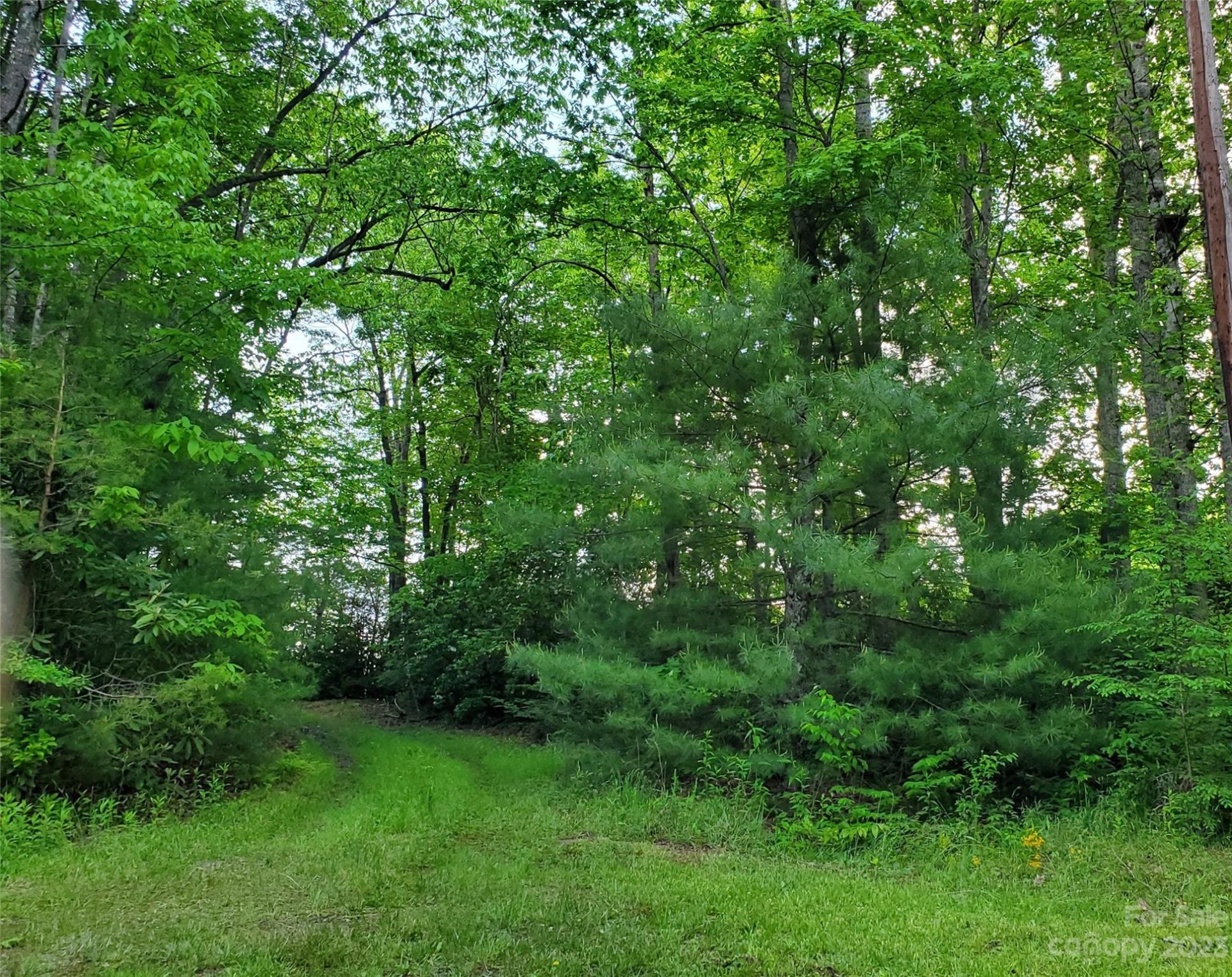 2349 Pisgah Forest Drive