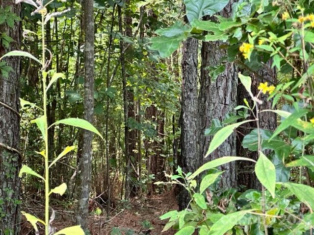 Property image 4 at 100 Shortoff Trail, Valdese, NC 28690