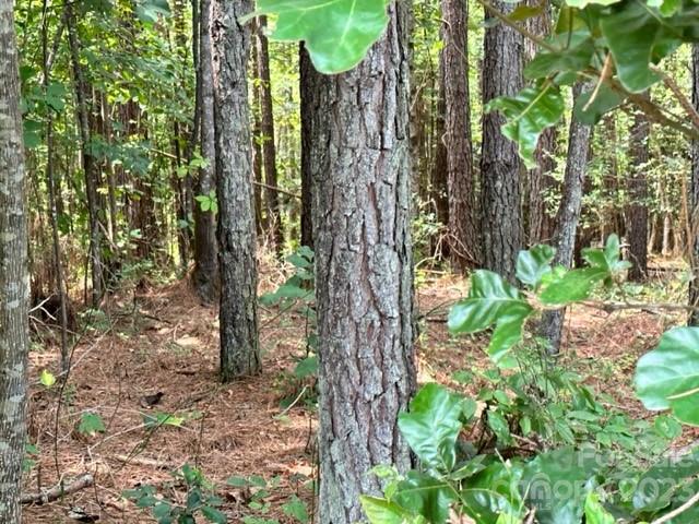 Property image 5 at 100 Shortoff Trail, Valdese, NC 28690