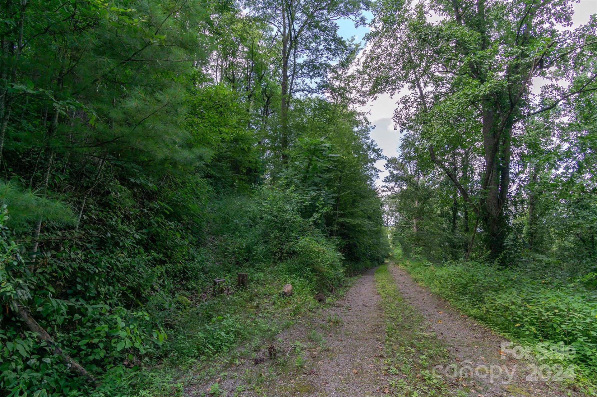 Property image 4 at 238 Grandiflora Path, Asheville, NC 28803