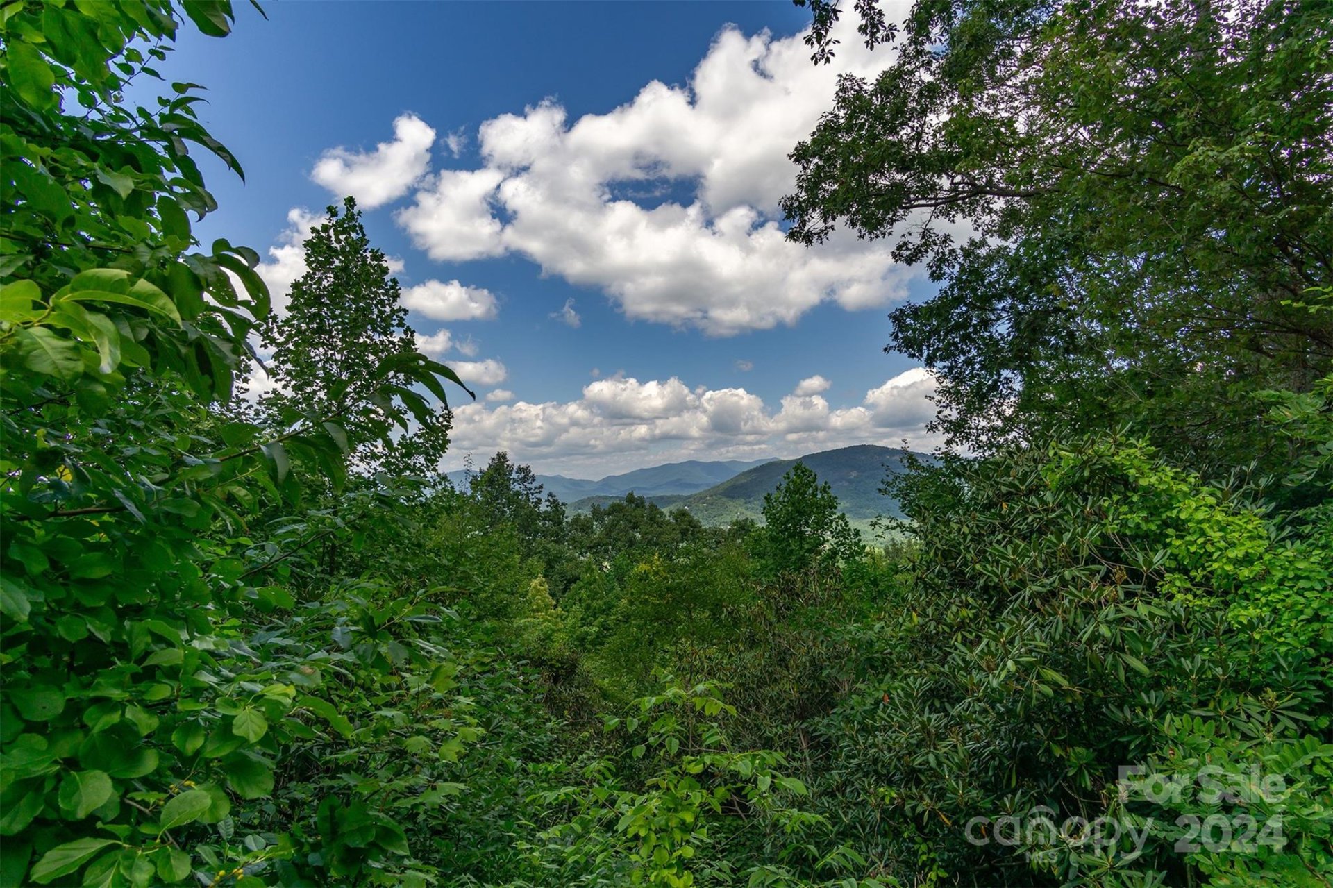 Property image 5 at 238 Grandiflora Path, Asheville, NC 28803