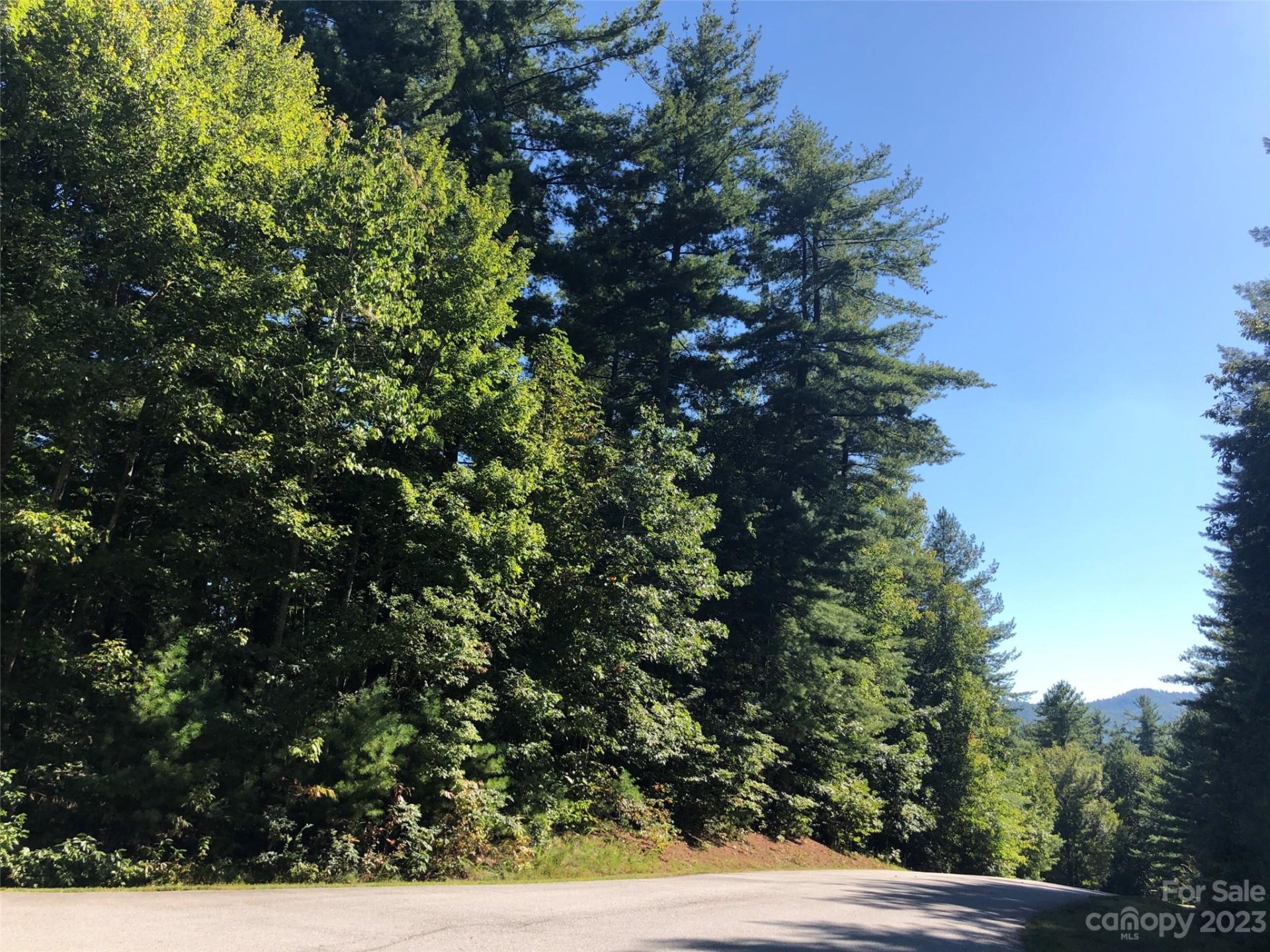 Lot 20 Daylily Drive