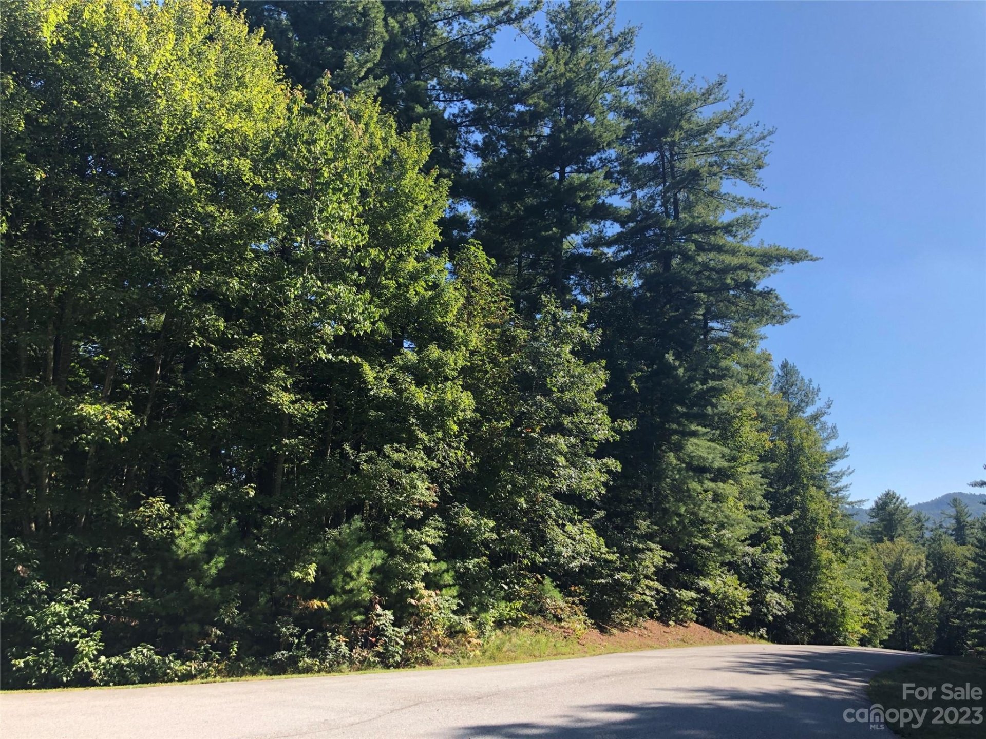 Property image 2 at Lot 20 Daylily Drive, Hendersonville, NC 28739