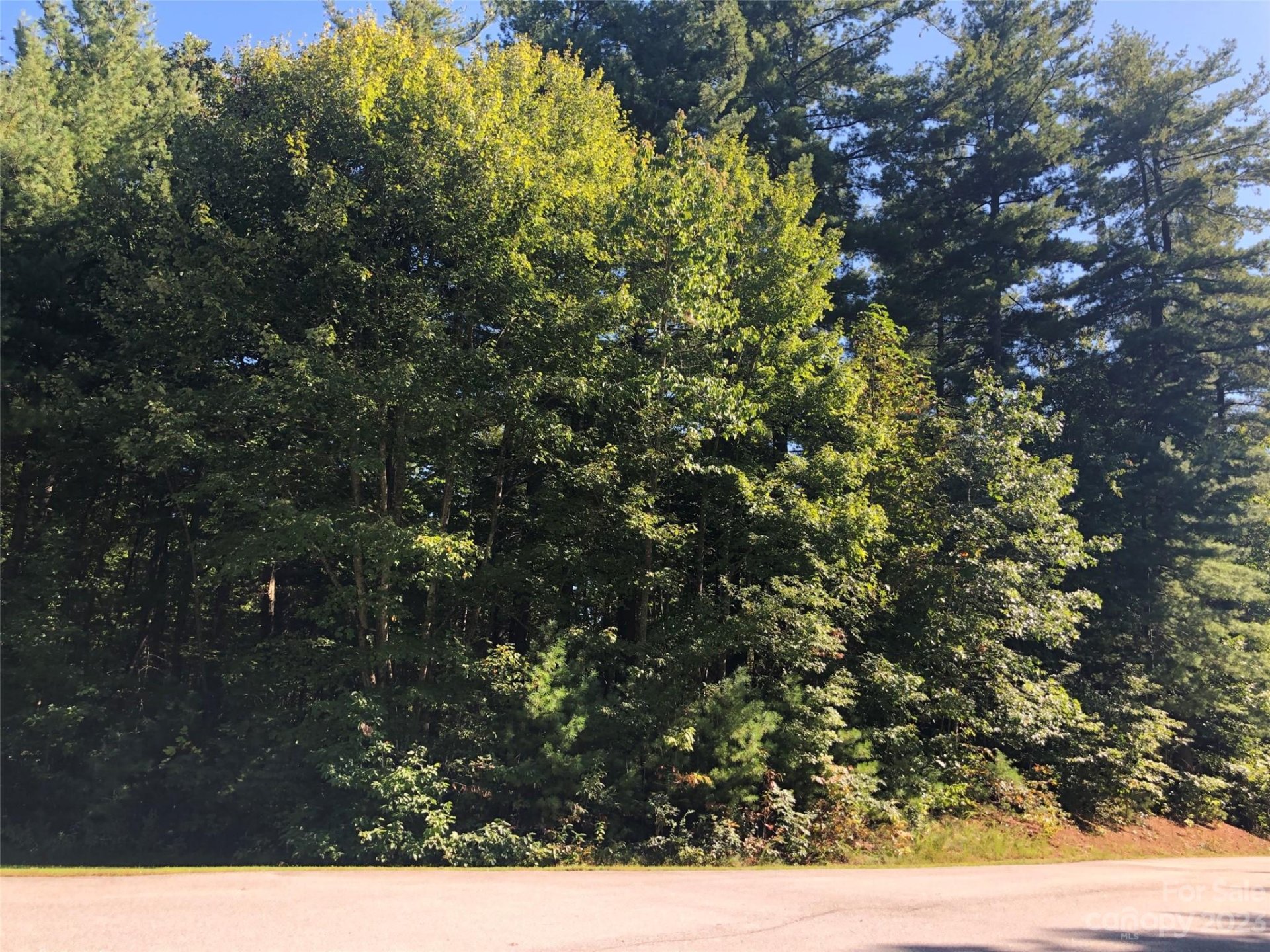 Property image 3 at Lot 20 Daylily Drive, Hendersonville, NC 28739