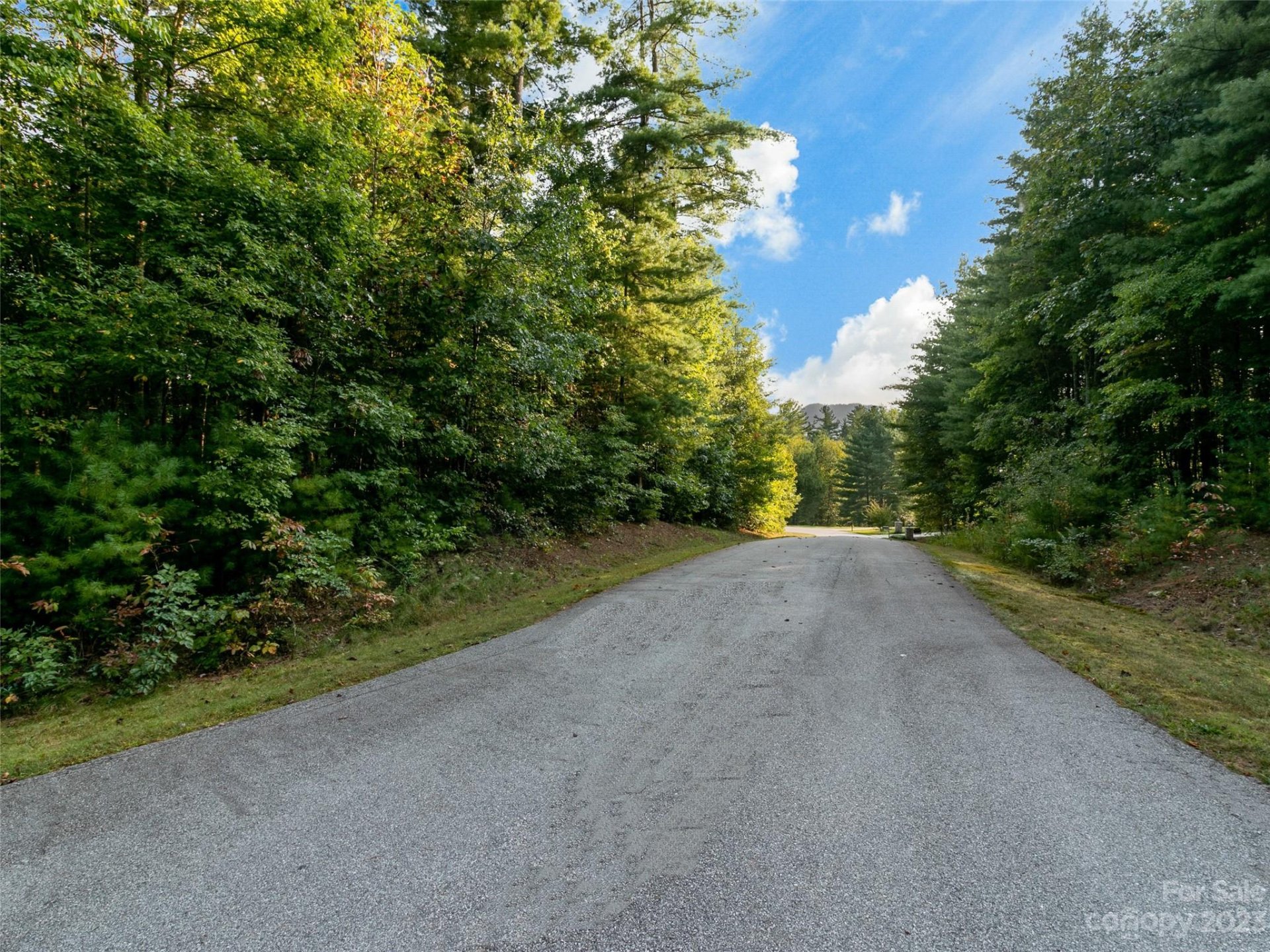 Property image 4 at Lot 20 Daylily Drive, Hendersonville, NC 28739