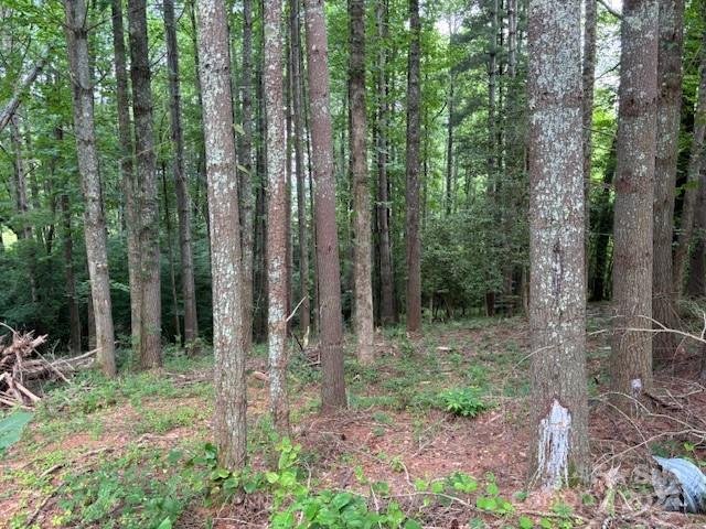 Property image 2 at 39 Acorn Lane, Pisgah Forest, NC 28768