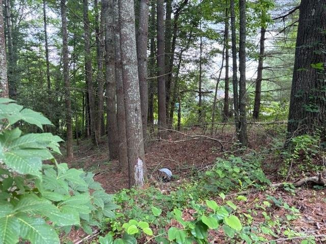 Property image 3 at 39 Acorn Lane, Pisgah Forest, NC 28768