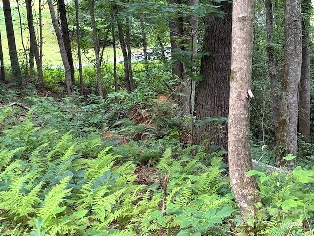 Property image 4 at 39 Acorn Lane, Pisgah Forest, NC 28768