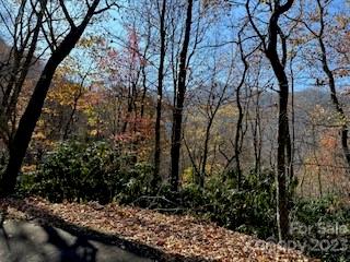 Property image 2 at 20 Tsalagi Trail, Maggie Valley, NC 28751