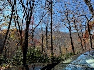 Property image 3 at 20 Tsalagi Trail, Maggie Valley, NC 28751
