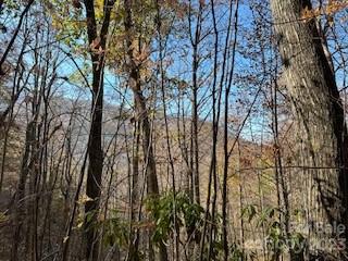 Property image 5 at 20 Tsalagi Trail, Maggie Valley, NC 28751