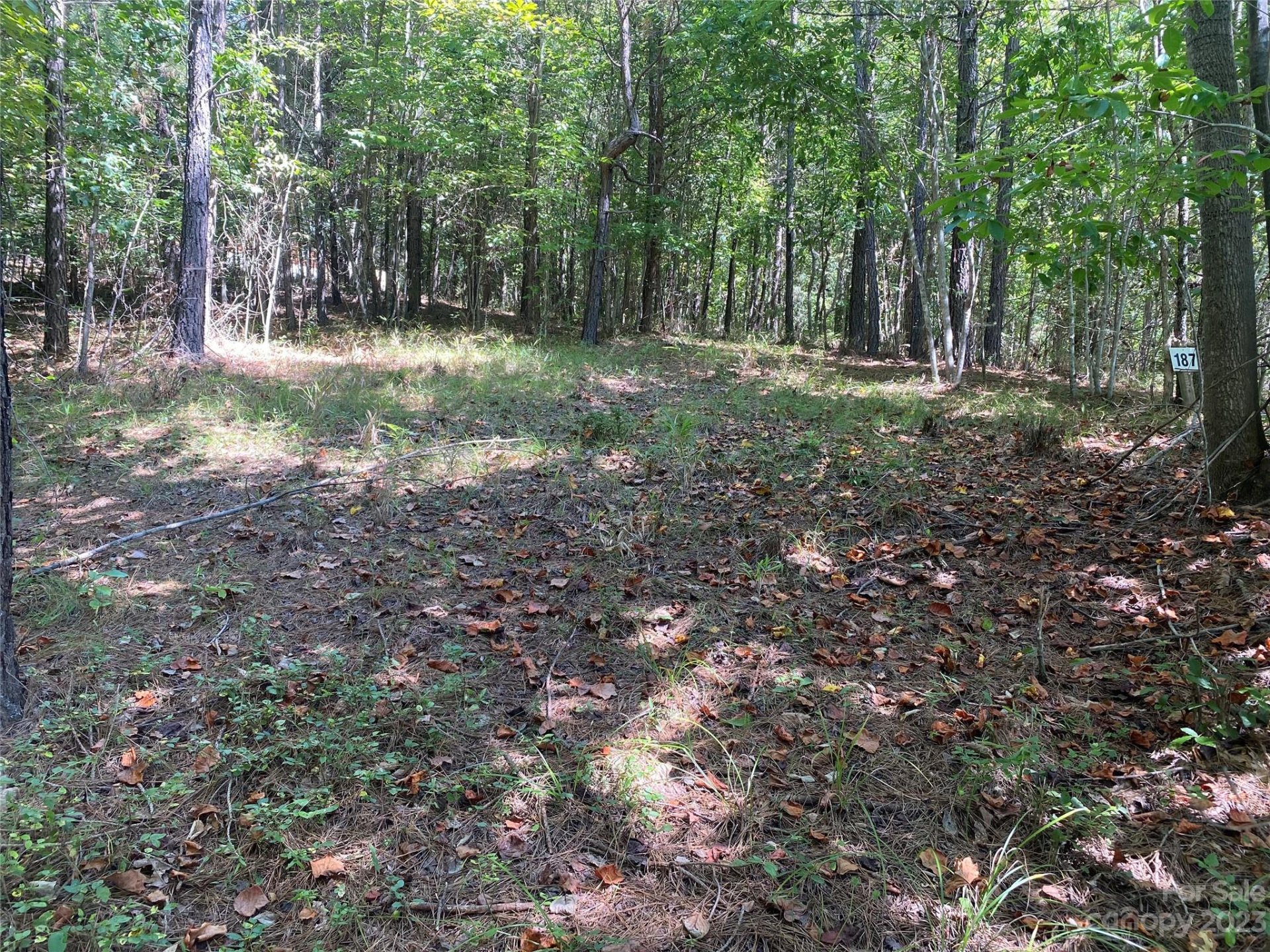 Property image 4 at 153 Chimney Creek Lane, Rutherfordton, NC 28139