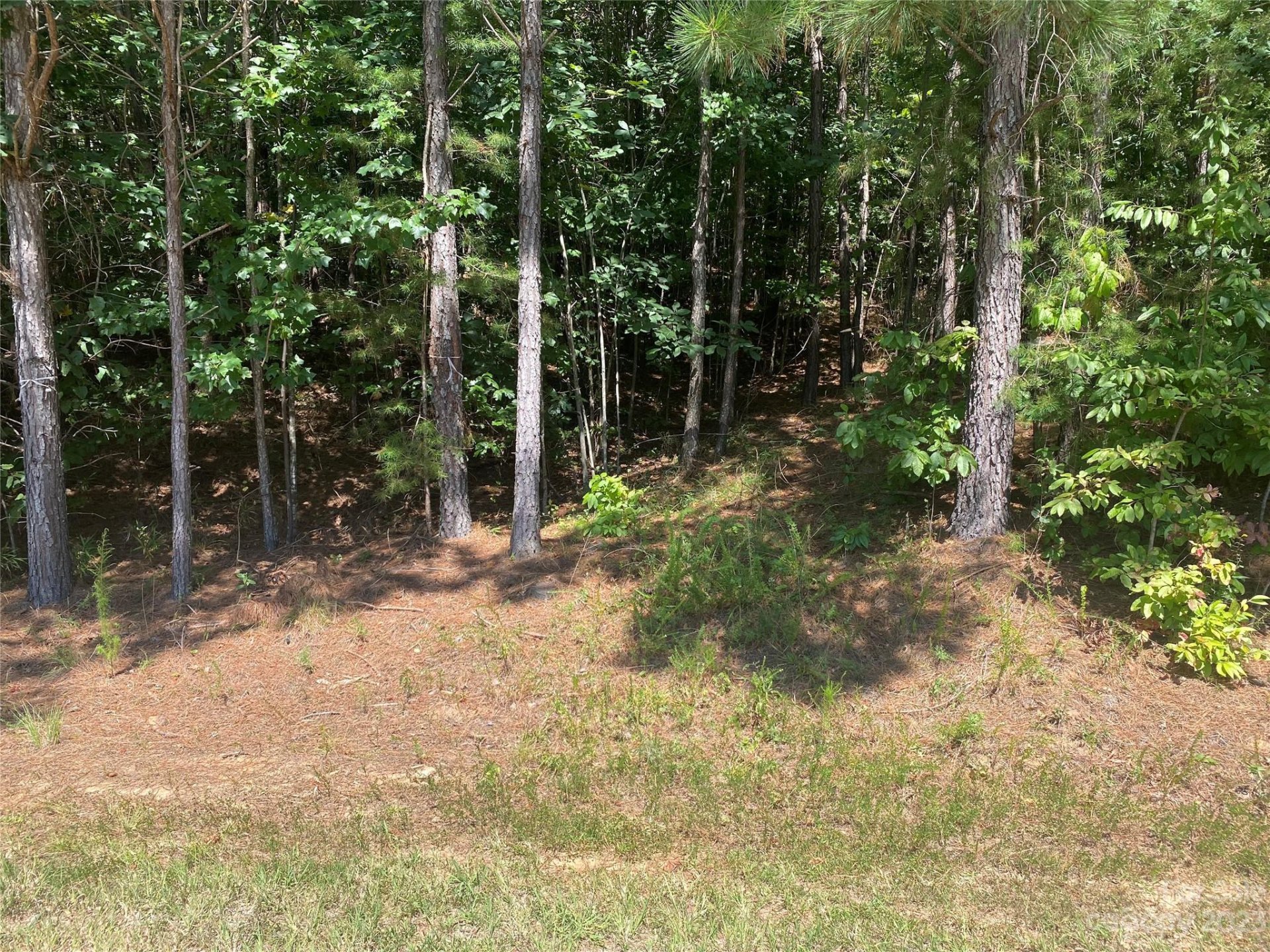 Property image 5 at 153 Chimney Creek Lane, Rutherfordton, NC 28139