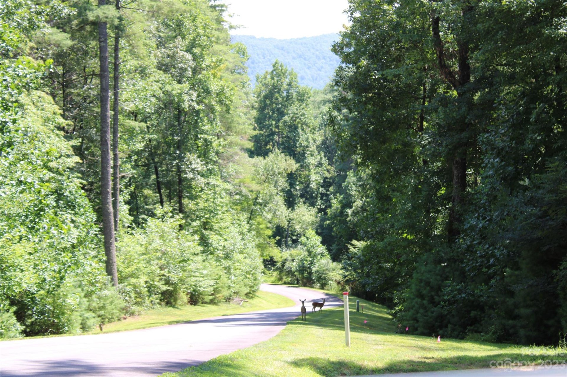 Property image 1 at Lot 85r Mountain Home Trail, Brevard, NC 28712
