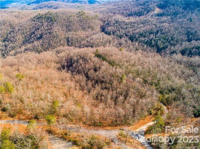 Property image 1 at 9 Laurel Cottage Lane, Black Mountain, NC 28711