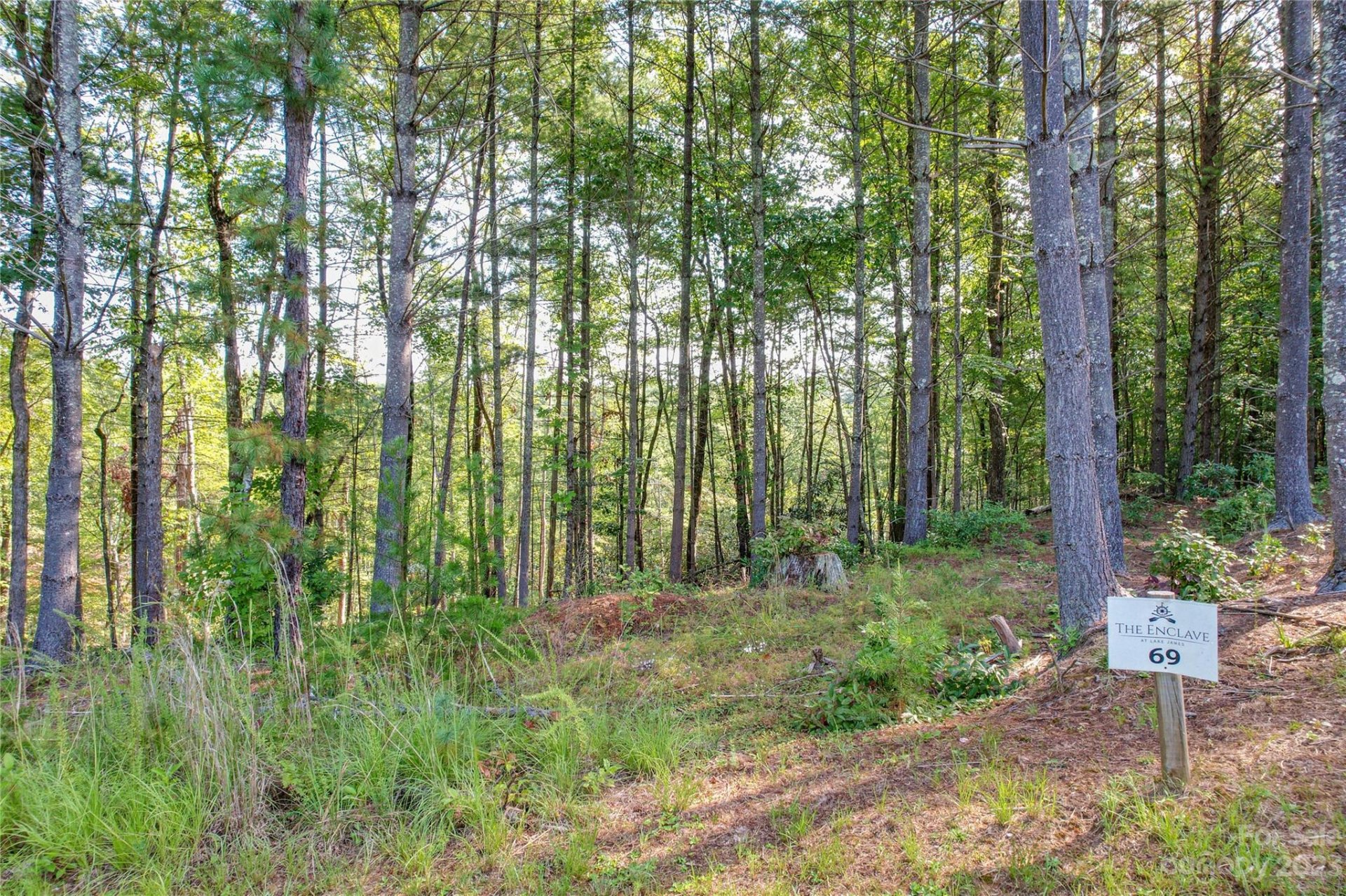 The Enclave at Lake James, Nebo Community