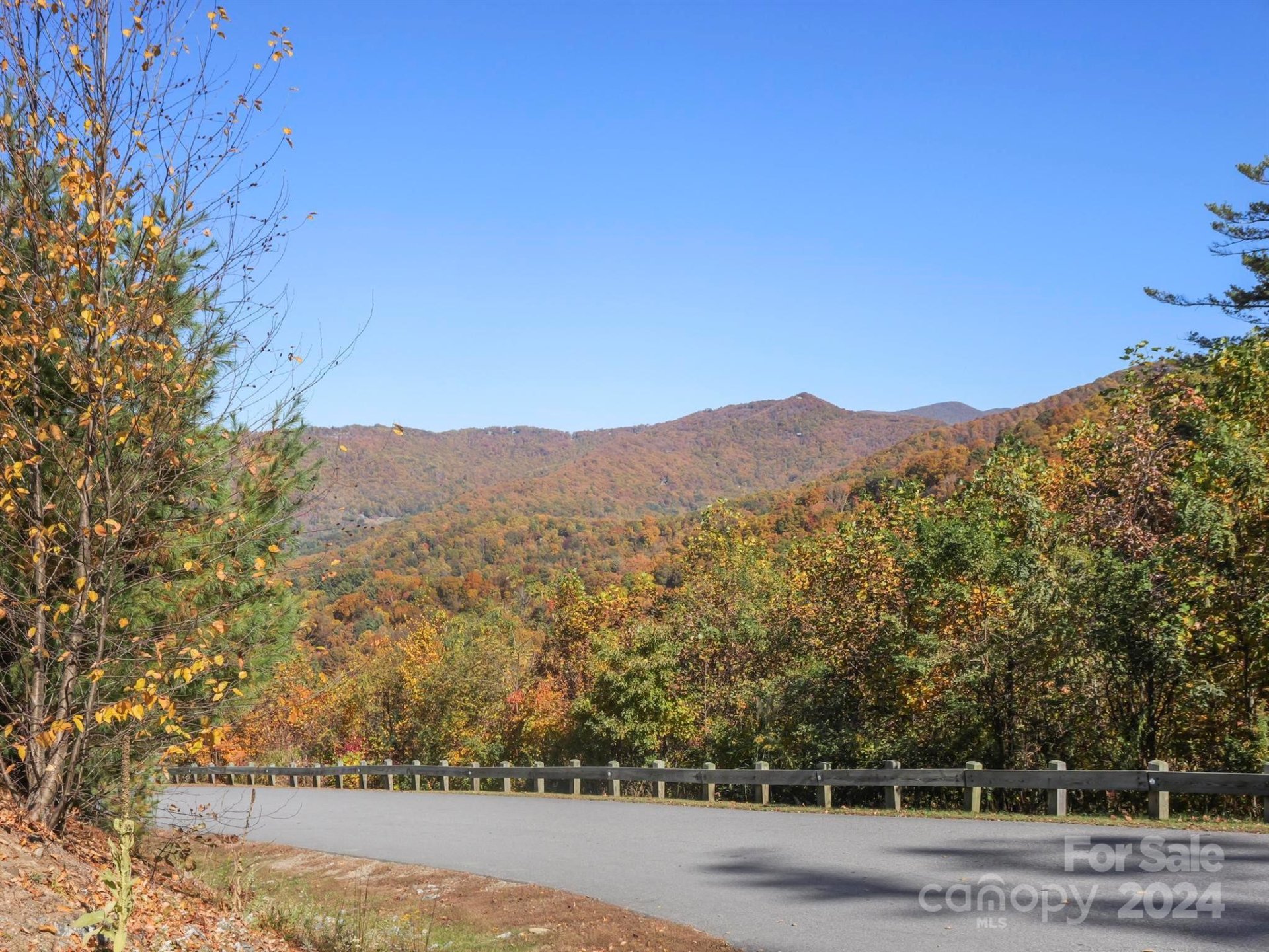 Property image 4 at 78 Woodland Aster Way, Asheville, NC 28804