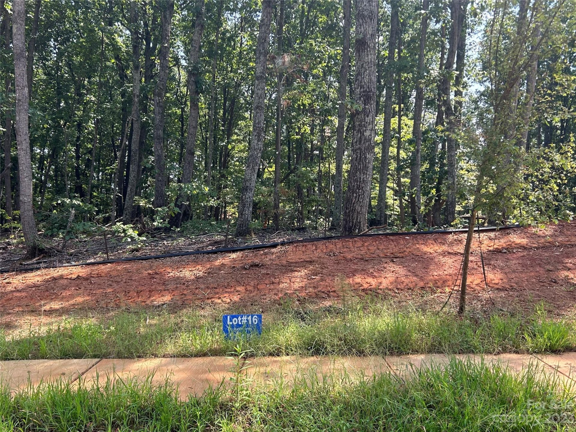 Property image 1 at 0000 Brancer Lane, Lincolnton, NC 28092