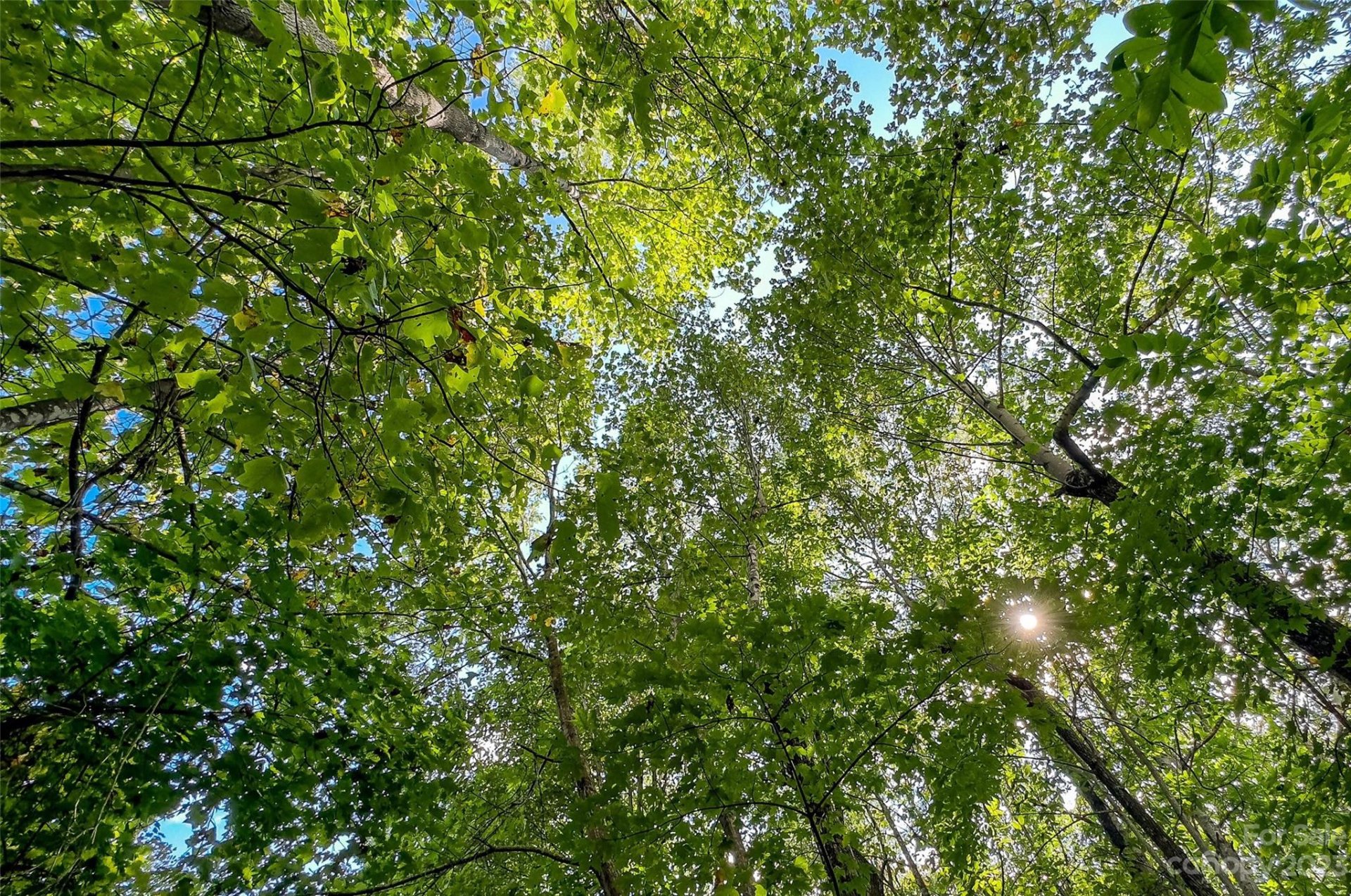 Property image 1 at 0000 Arcadia Falls Way, Black Mountain, NC 28711