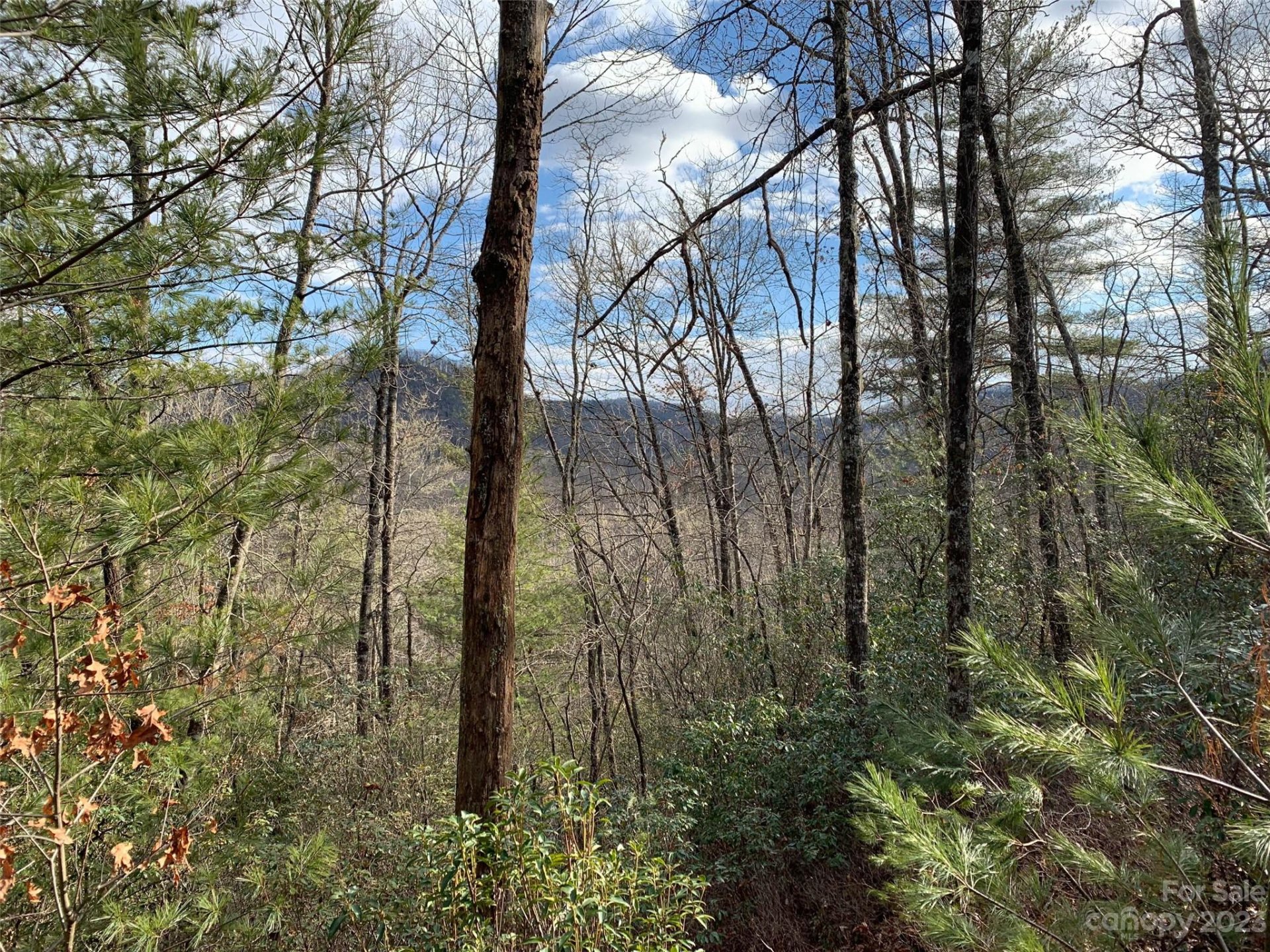 Property at 91 Laurel Thicket Lane, Brevard, NC 28712