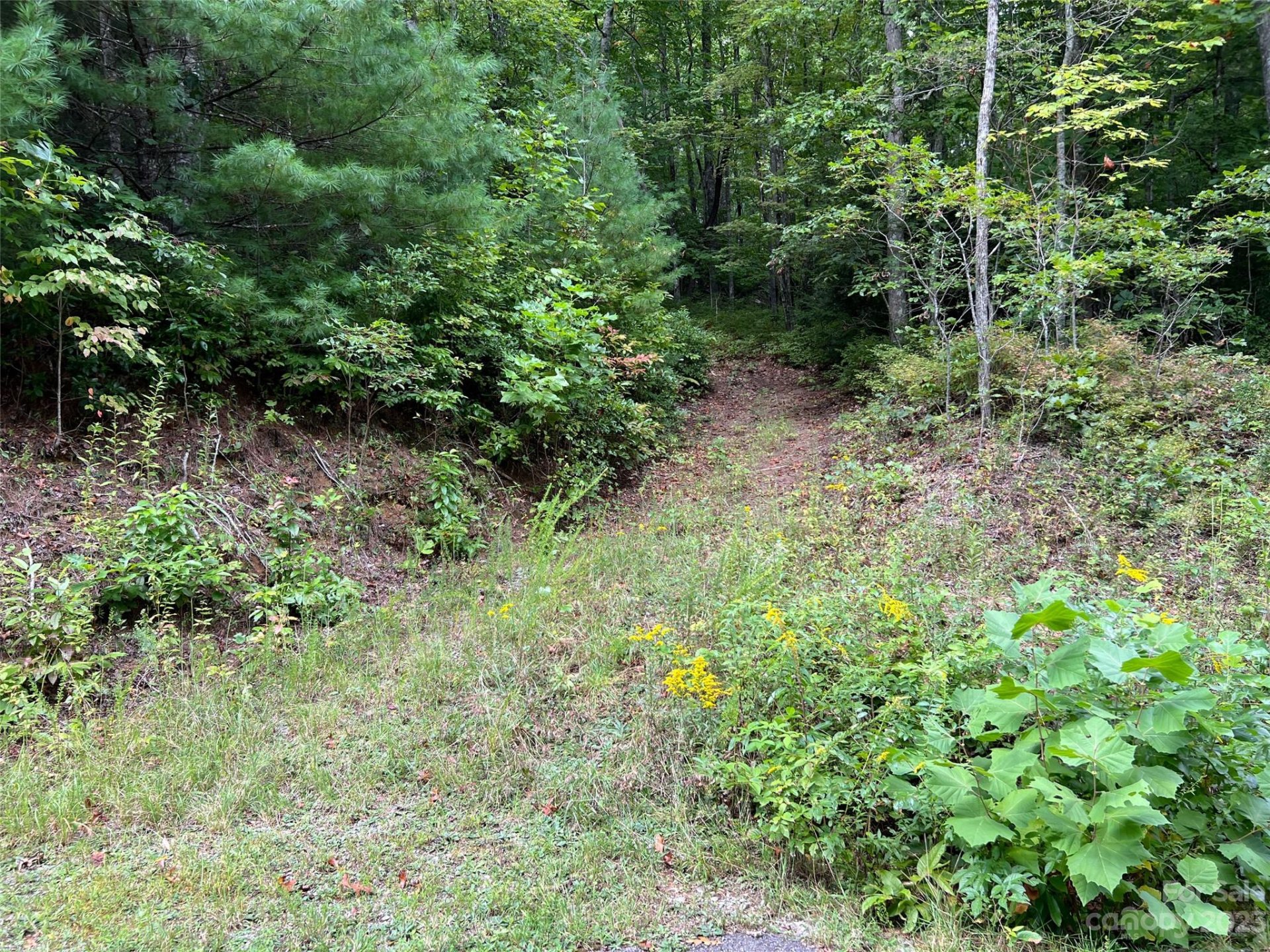 Property at 106 Green Hollow Lane, Brevard, NC 28712