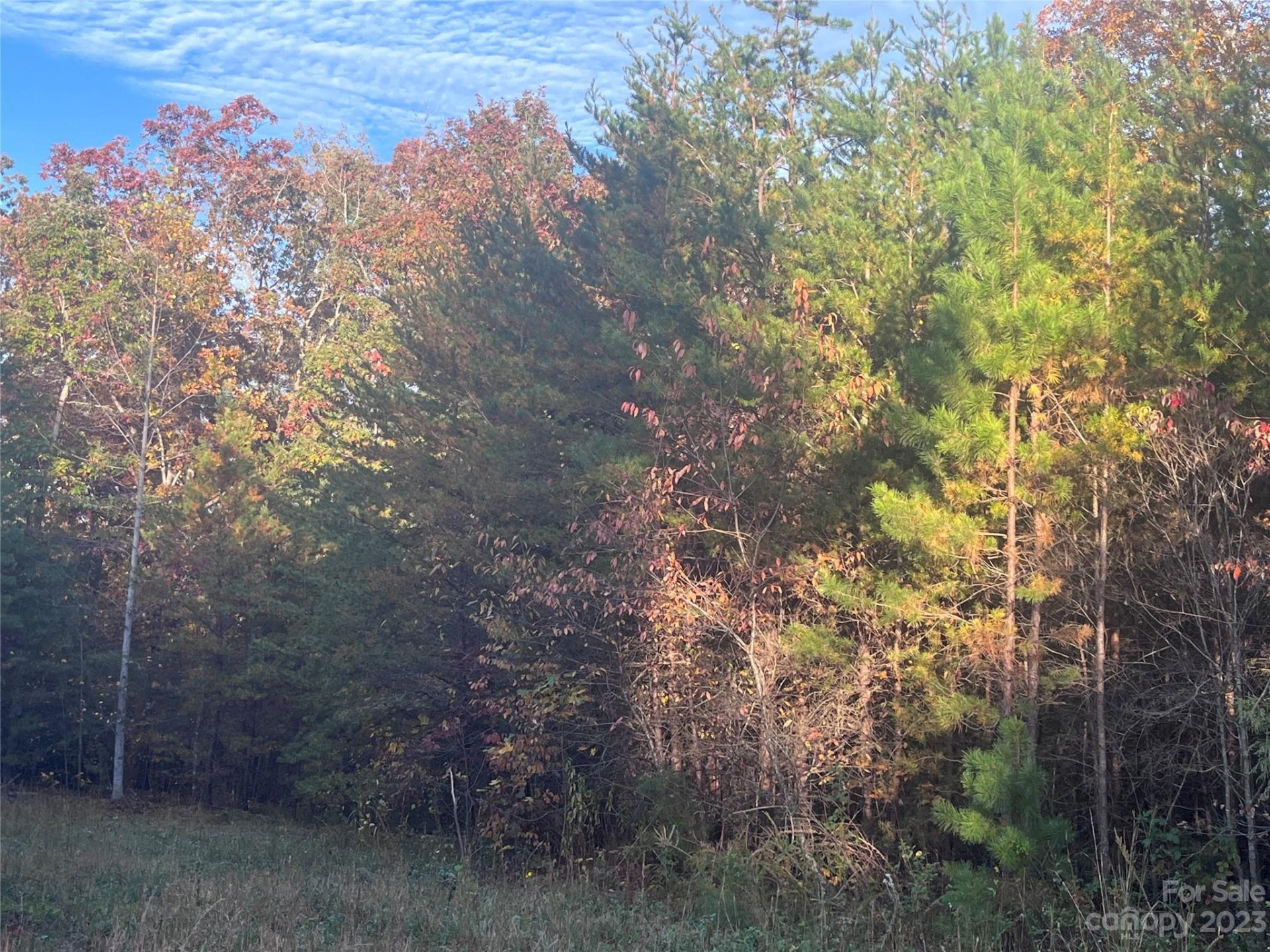 Property image 3 at 0 Shady Bark Lane, Rutherfordton, NC 28139