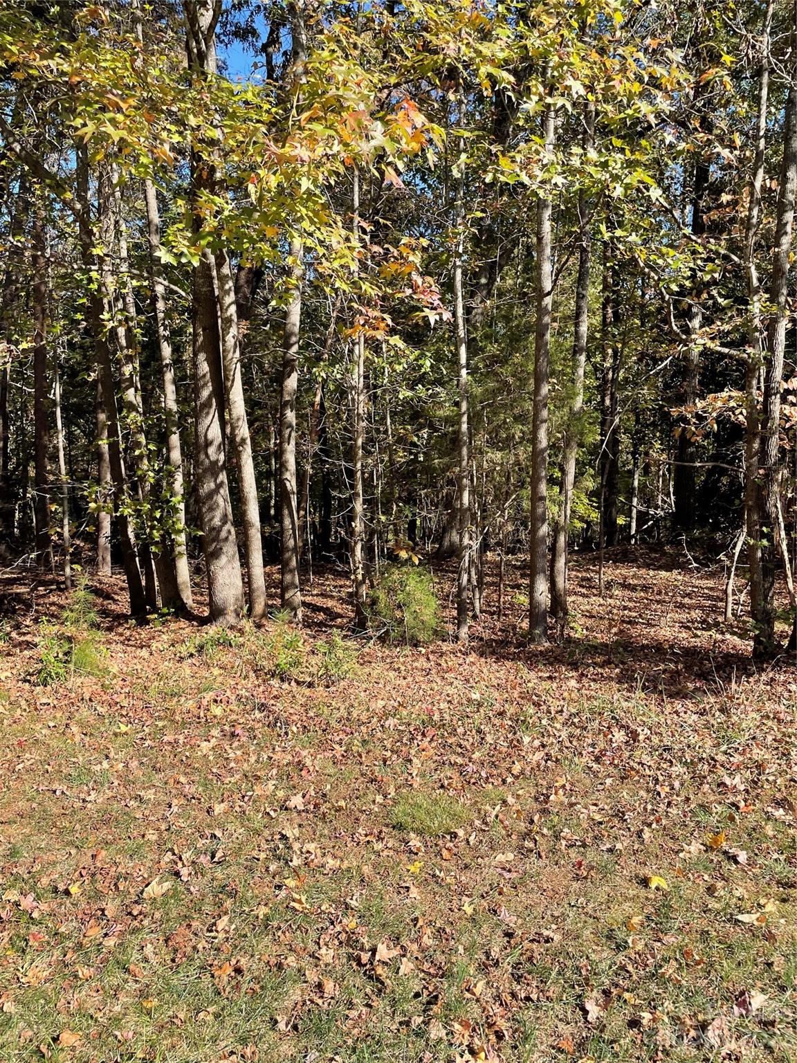 235 Badin View Drive