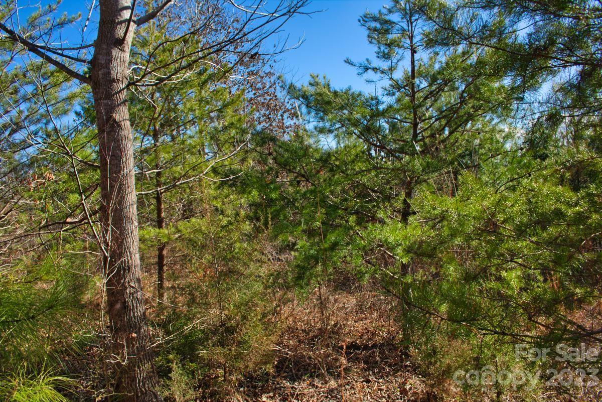 Property image 3 at 0 Whitestone Circle, Union Mills, NC 28167