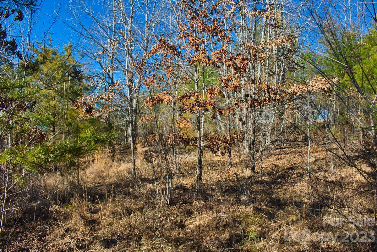 Property image 4 at 0 Whitestone Circle, Union Mills, NC 28167